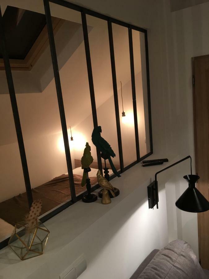 Le 17 Appartement Rodez Buitenkant foto